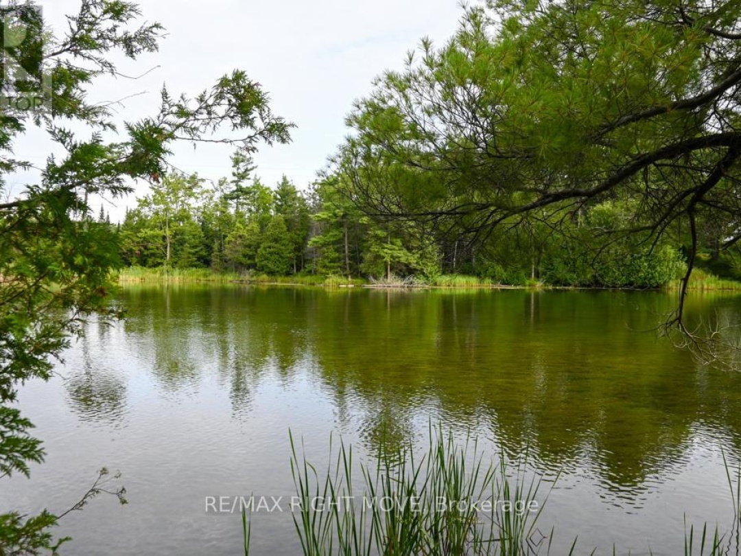 4544 BOWLES LANE, 