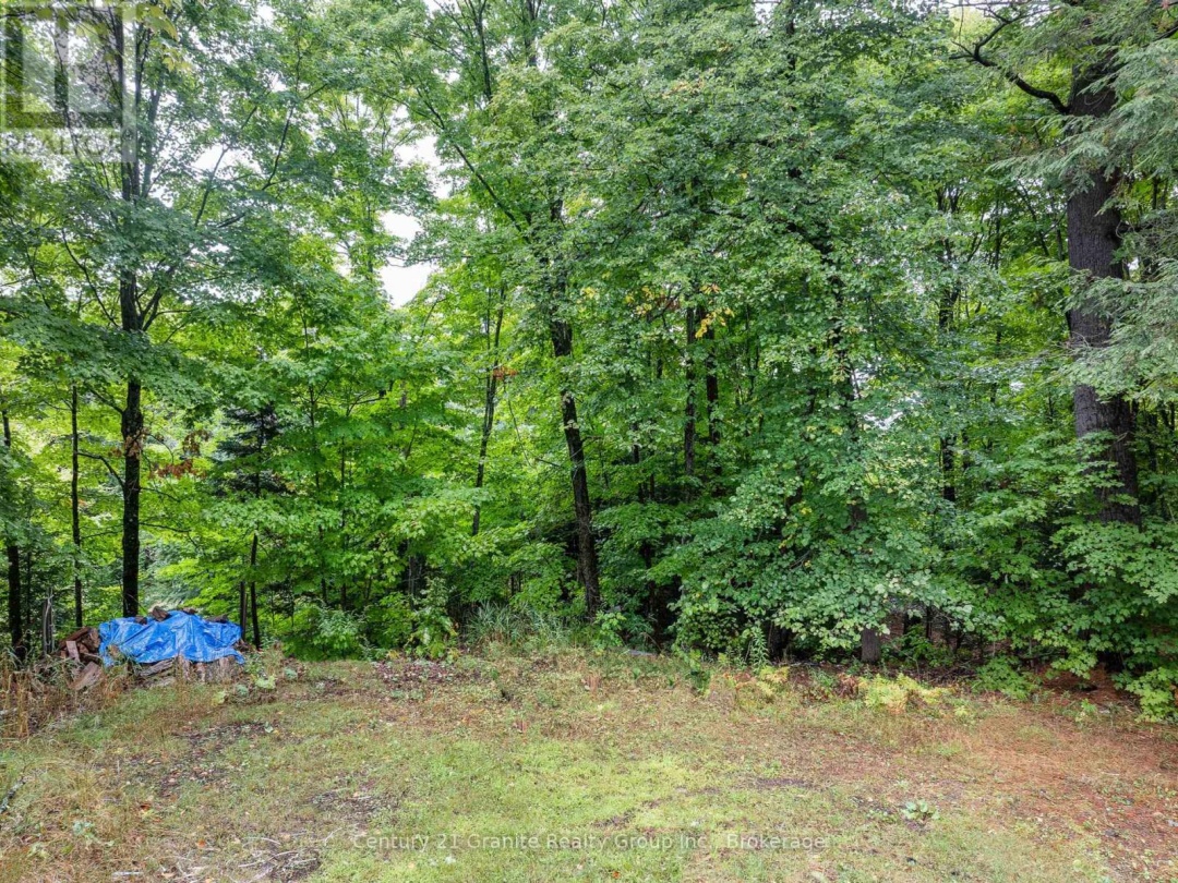9564 HIGHWAY 118, 