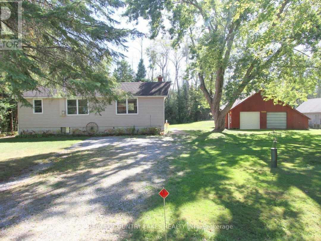 62 PARADISE ROAD, 