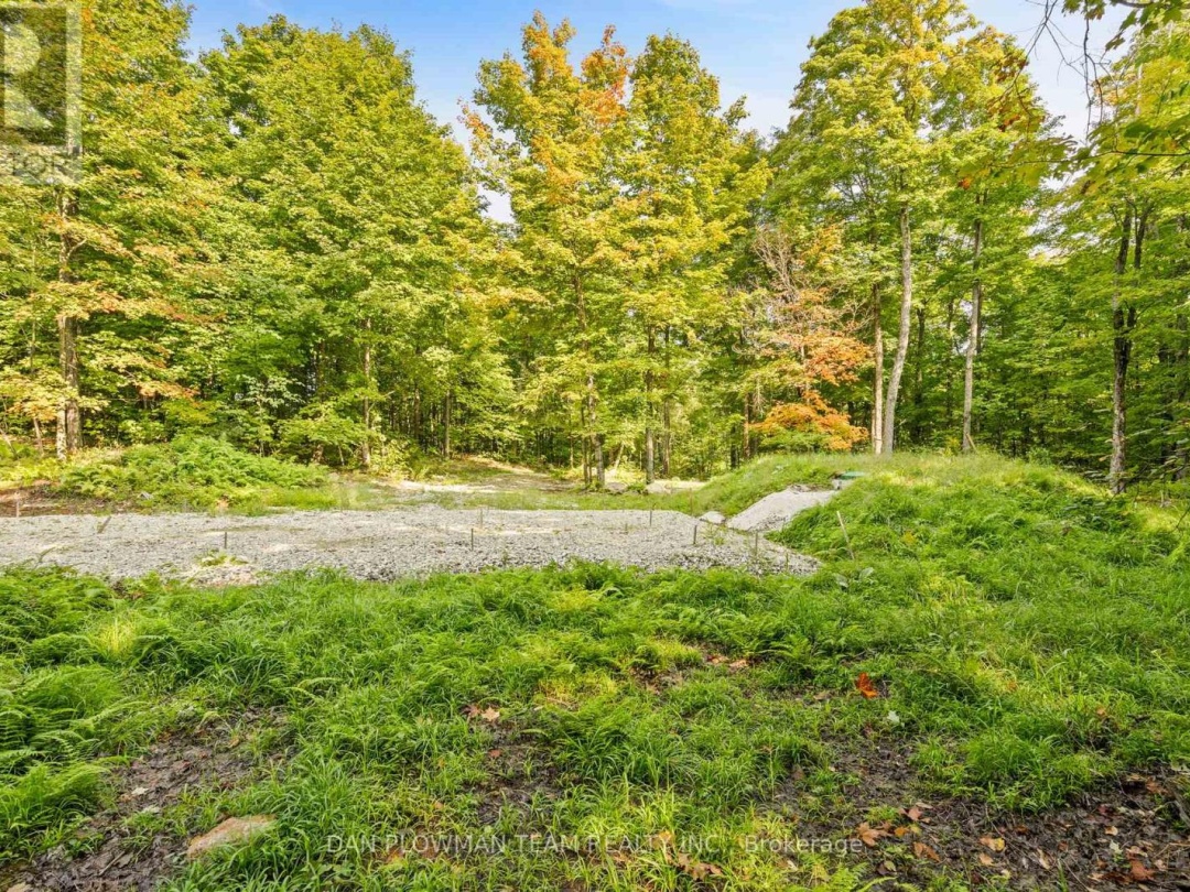 1409 BASSHAUNT LAKE ROAD, 