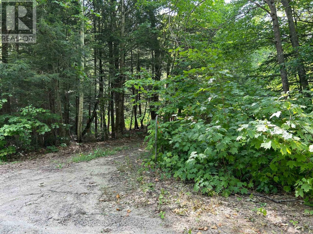 0 SOUTH PORTAGE ROAD, 