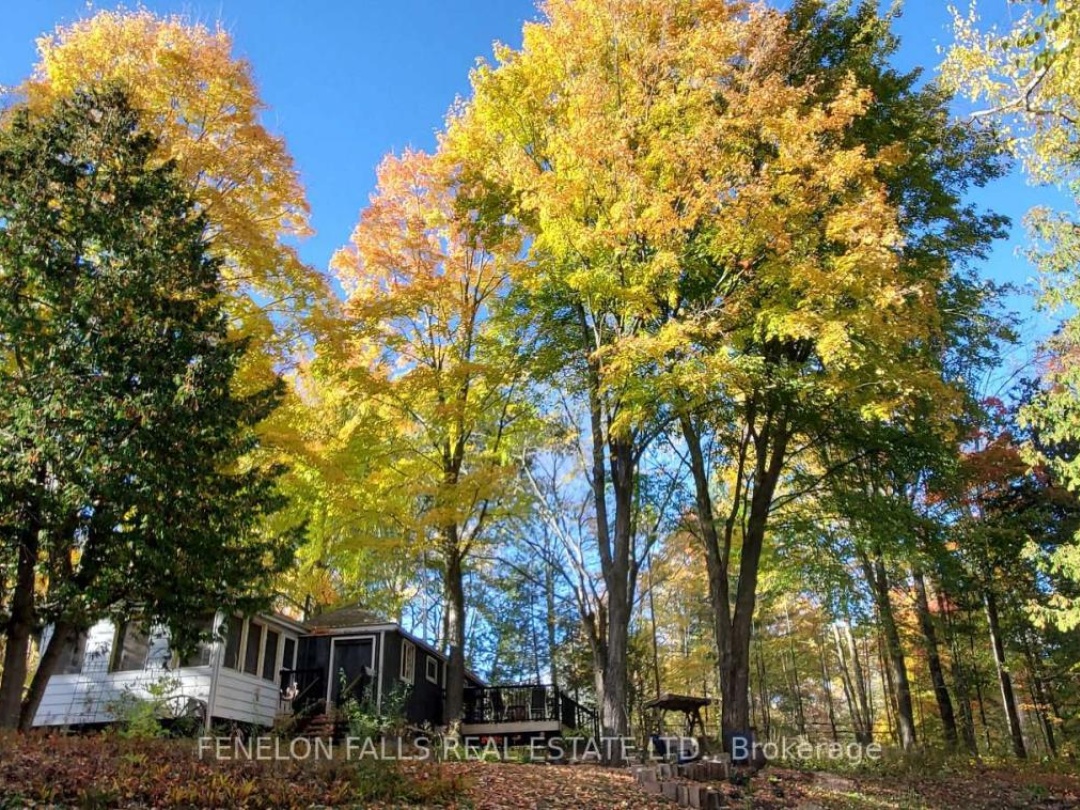 168 LAKEBREEZE ROAD, Cameron Lake