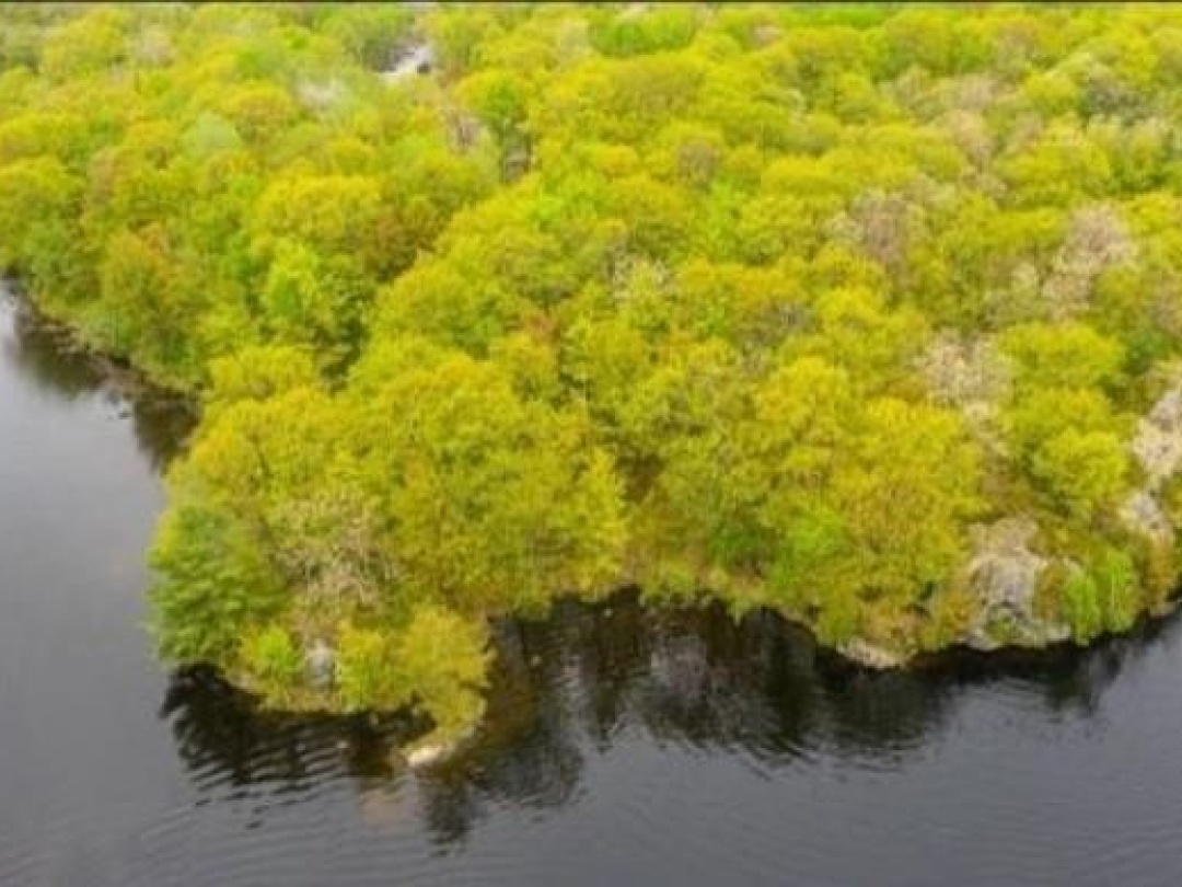 3600 Narrows Road Unit# Lot 12, The Narrows Lake