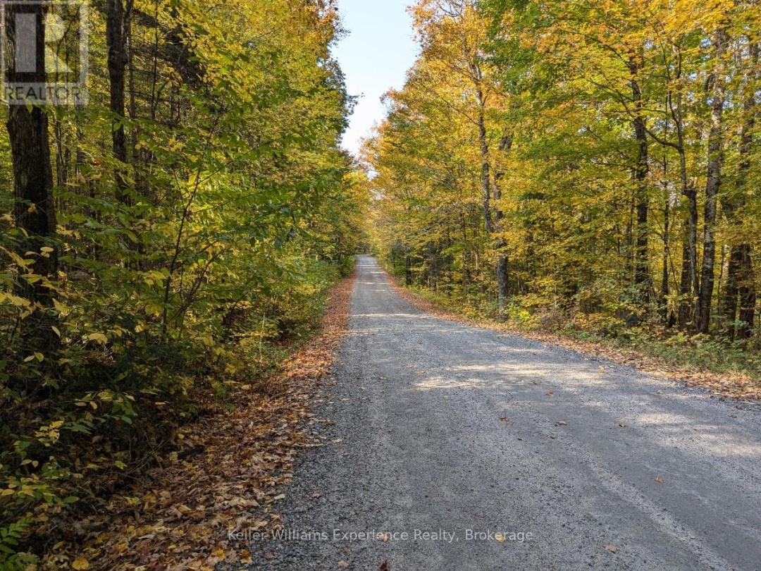 0 HEALEY LAKE ROAD, 