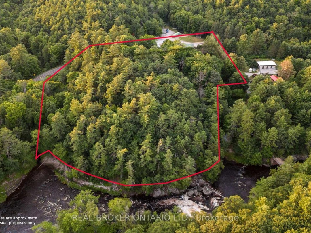 1401 COOPERS FALLS ROAD, Black River