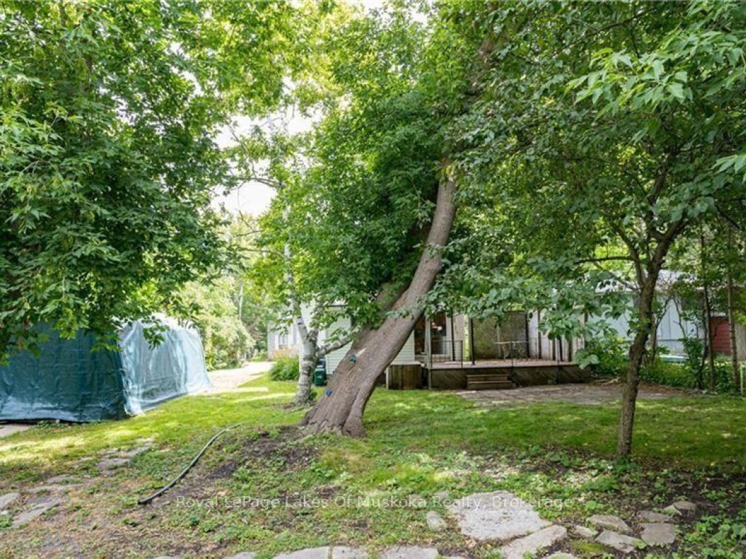 6 BUSH STREET, 