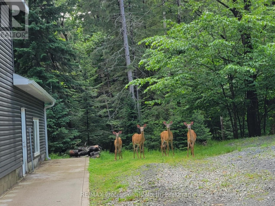504 SOUTH WASEOSA LAKE ROAD, 