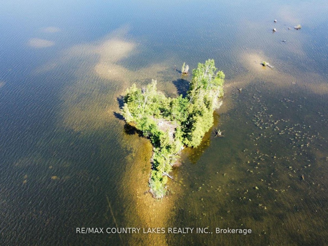 Lt 1 Island, Canal Lake