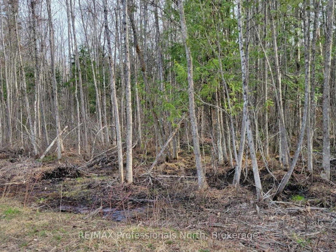 PCL 20438 & 29803 UPPER WALKER LAKE ROAD, Lake of Bays (Sinclair)