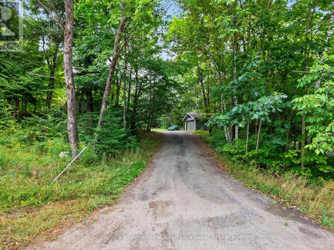 1132 LIMBERLOST ROAD, 