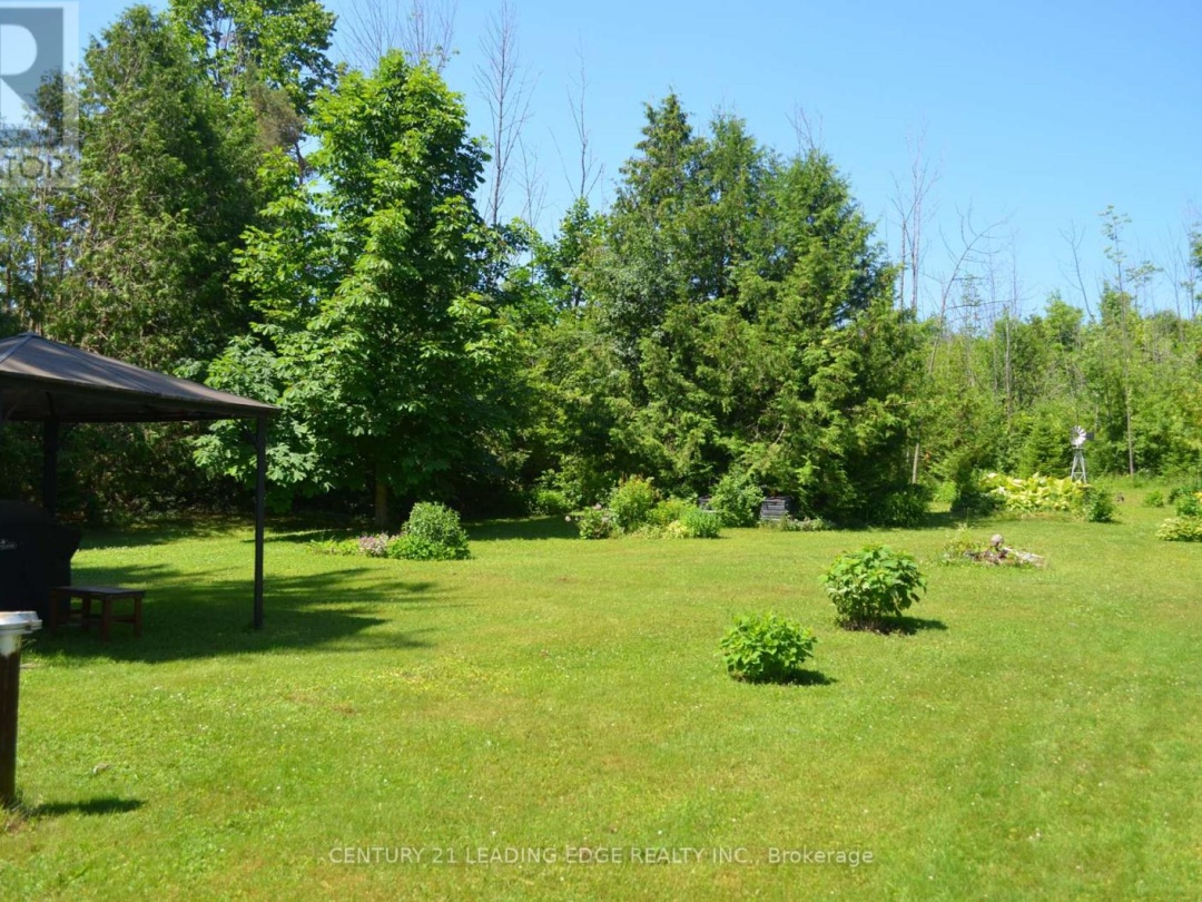 259 GEORGE DRIVE, 
