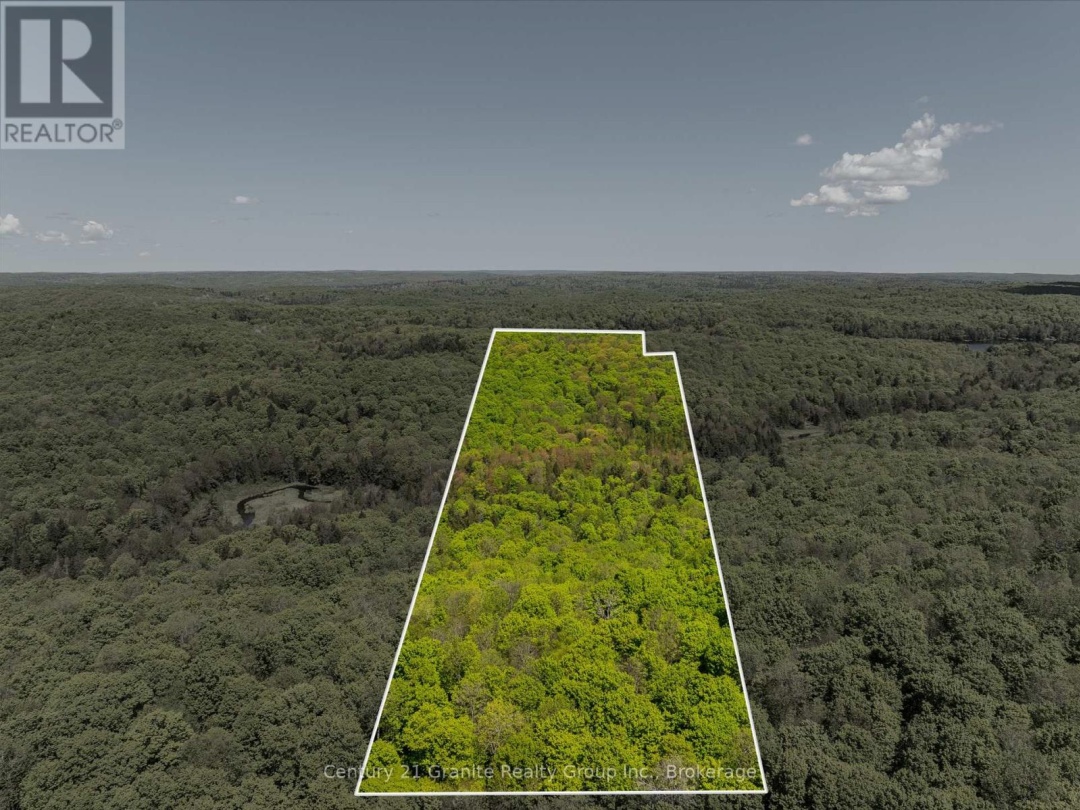 1145 Mink Road, Long Lake