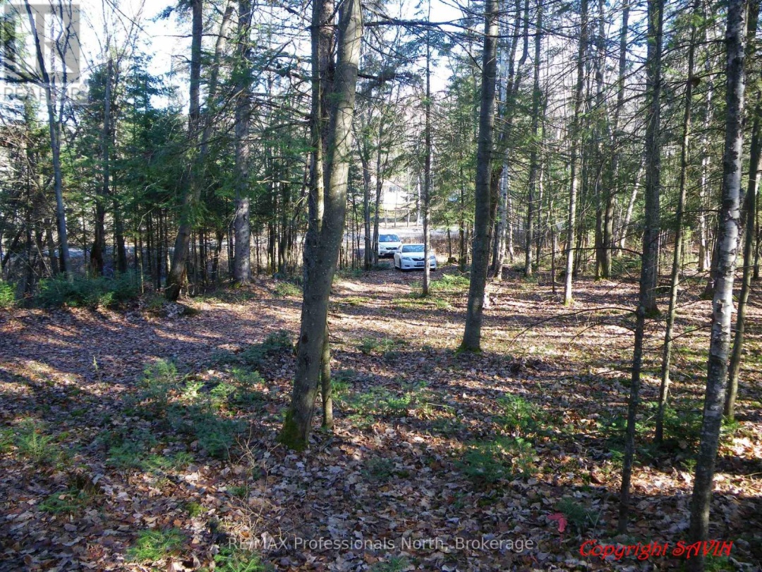 PCL 20438 & 29803 UPPER WALKER LAKE ROAD, Lake of Bays (Sinclair)