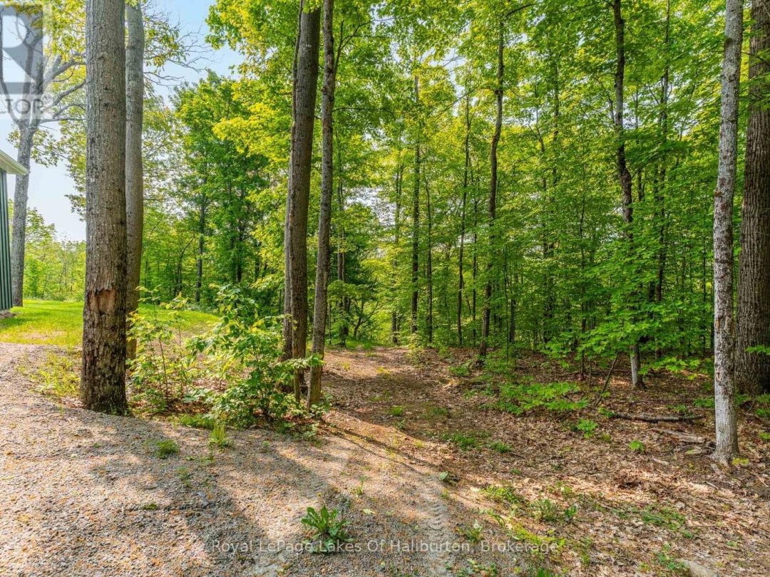 1143 TRILLIUM TRAIL, Loon Lake