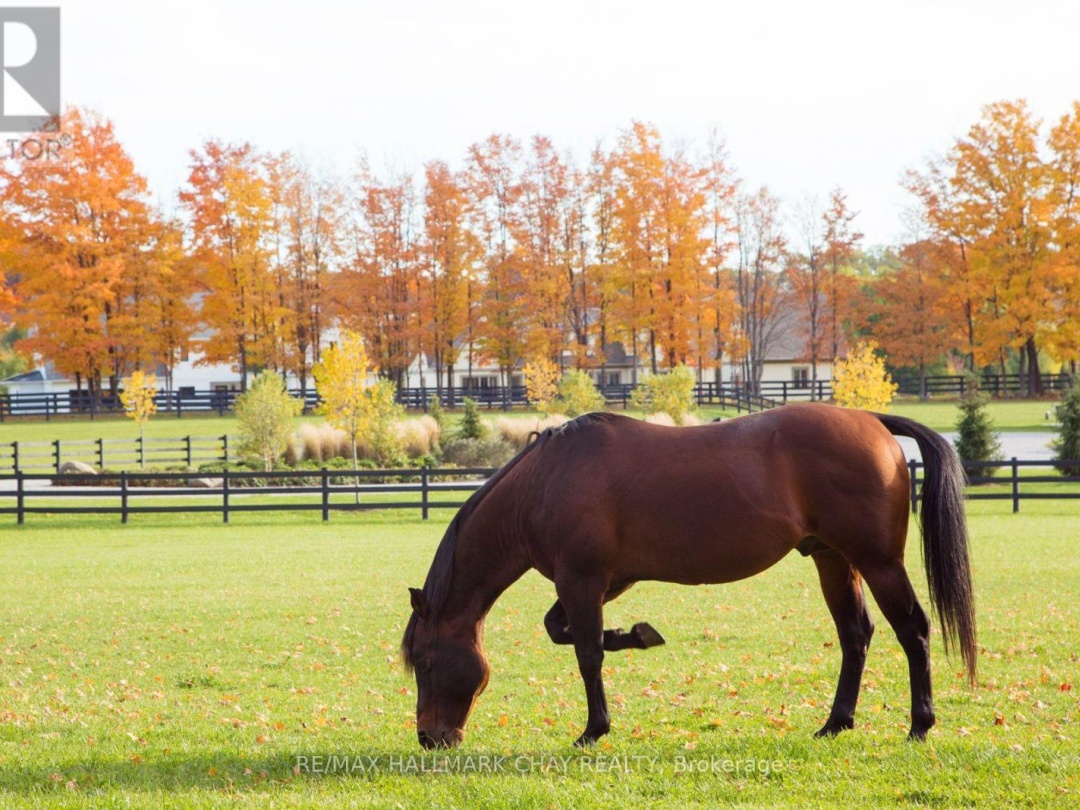 Lot 38 Friesian Court, Oro-Medonte