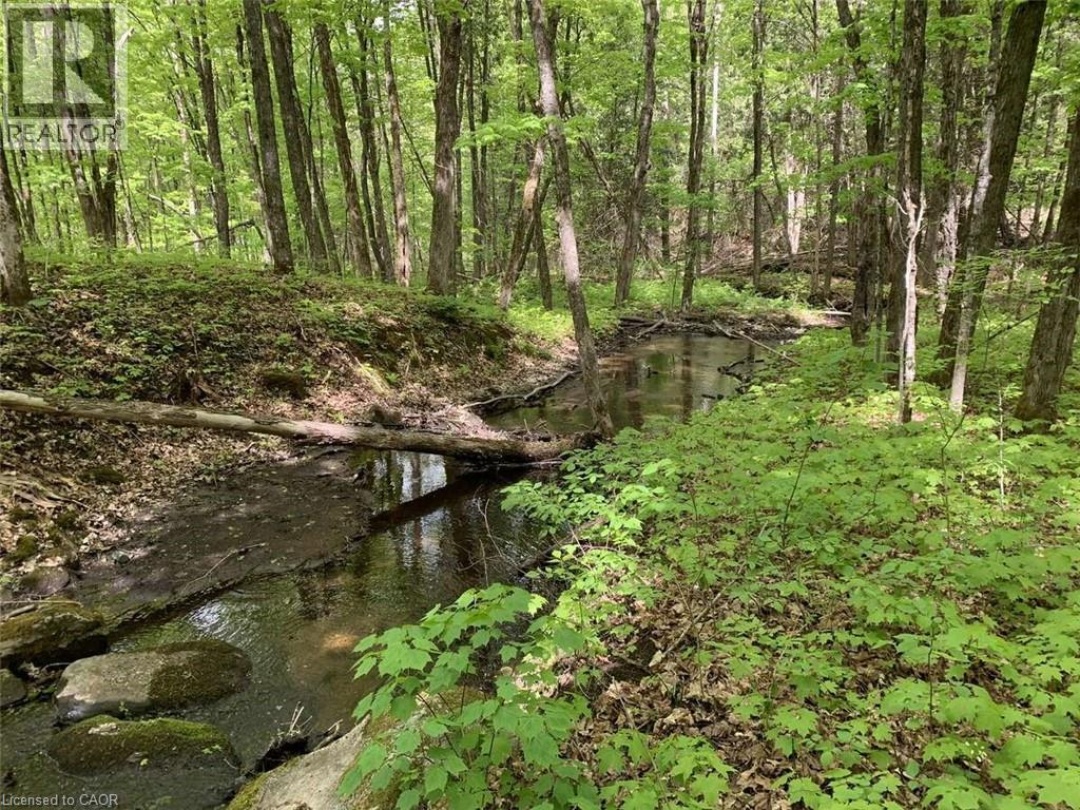 LOT 1 COLONIAL Road, 