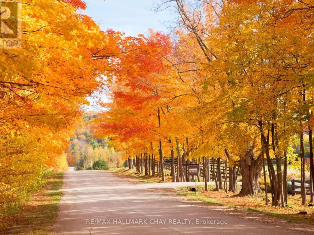 Lot 39 Friesian Court, Oro-Medonte