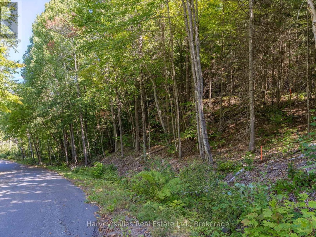 0 EAST WALKER LAKE ROAD, 