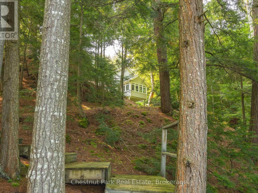 1003 Arnott Lane, Redstone Lake