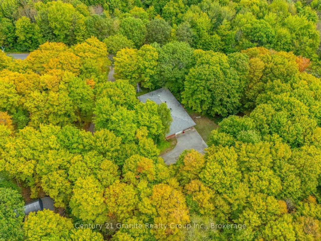 1204 WALKER LINE ROAD, 