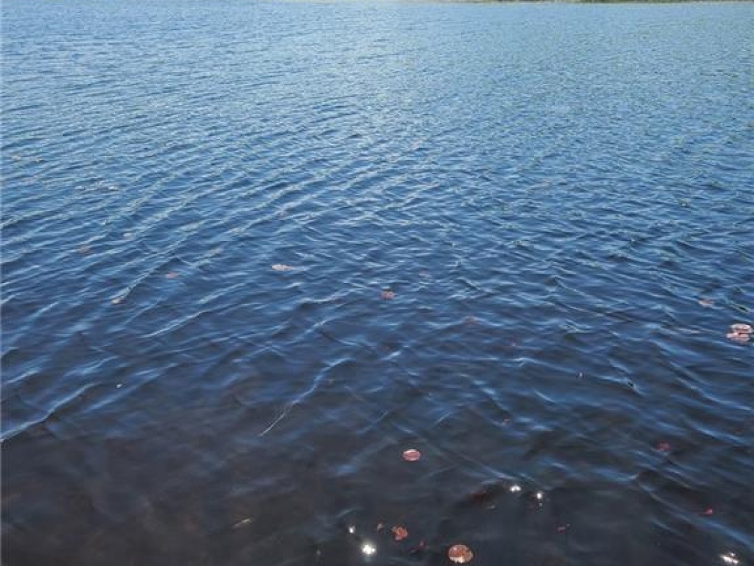 91B Highway 124, Mountain Basin Lake