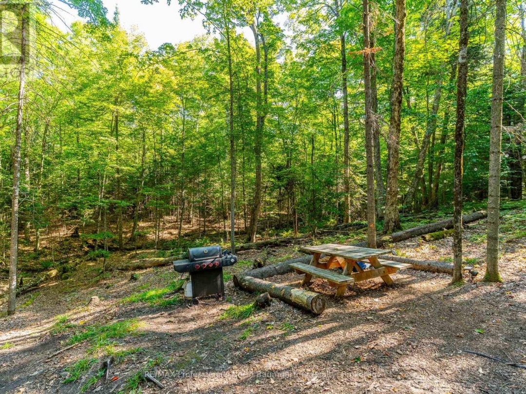 LOT 40 BASSHAUNT LAKE ROAD, 