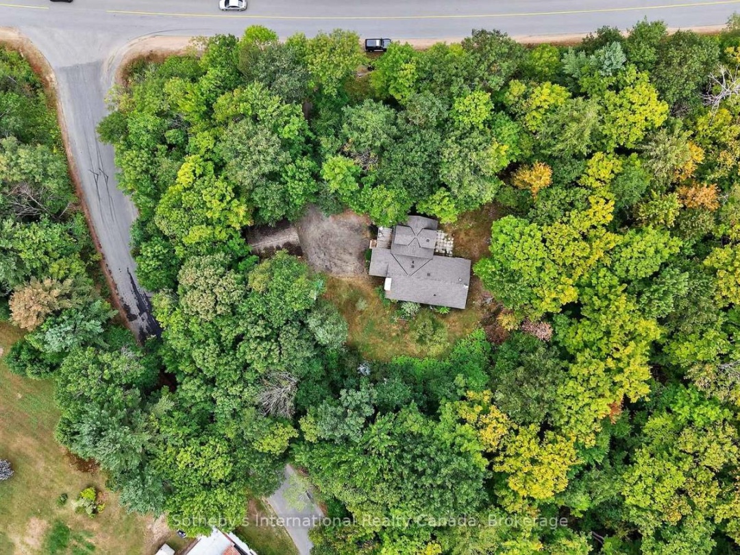1132 LIMBERLOST ROAD, 