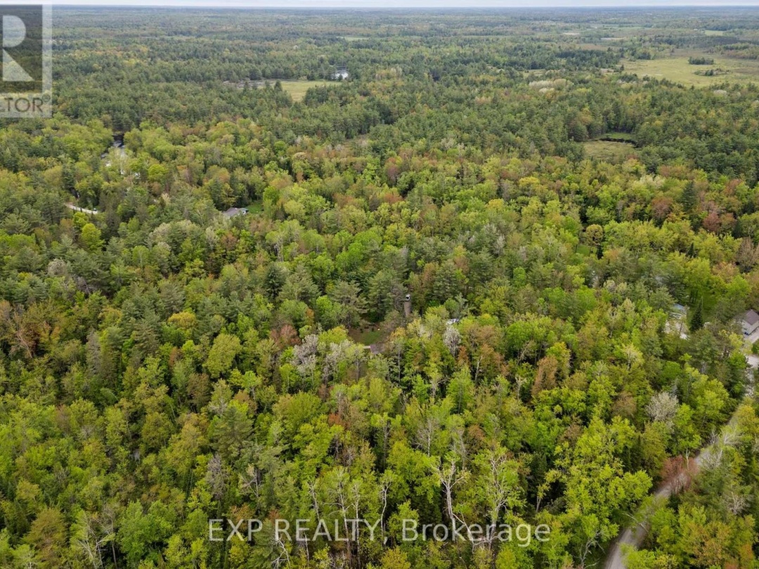 6566 Pioneer Village Lane, Ramara