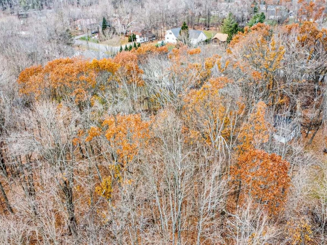 17 VALLEYVIEW DRIVE, 