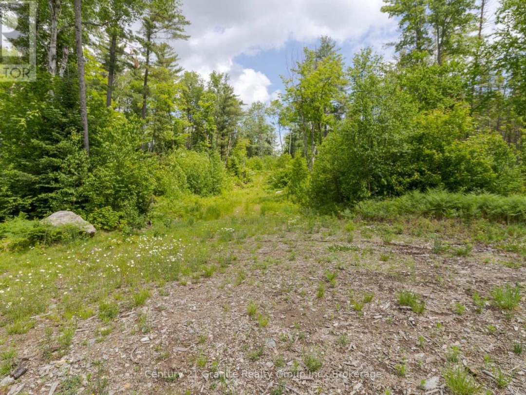 0 HALIBURTON LAKE ROAD, 