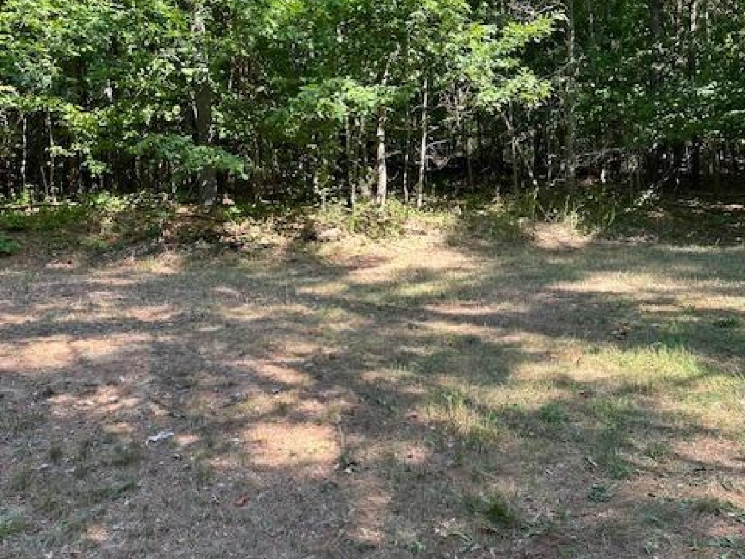 2875 COUNTY ROAD 21 ROAD, 