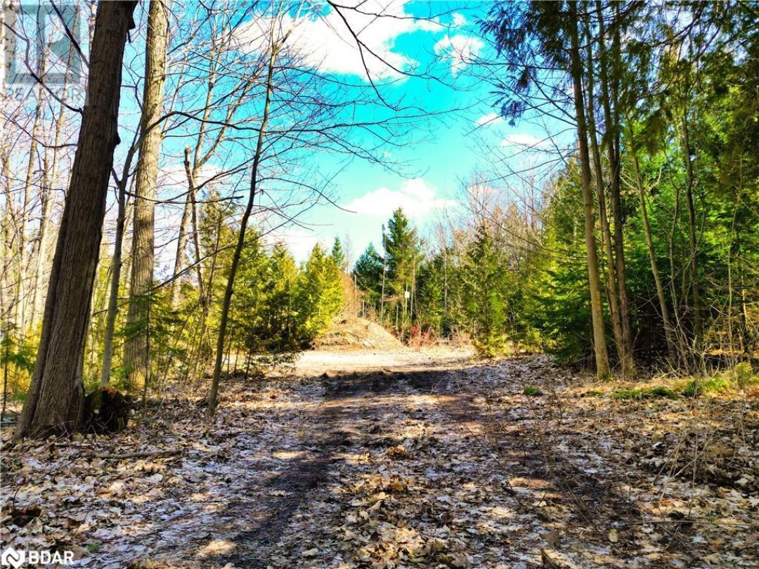 9 Beach Road, Bass Lake