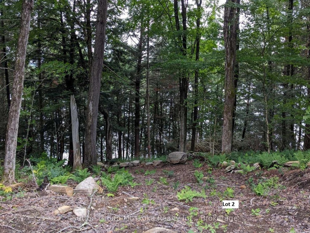 LOT 2 ESIG LANE, 