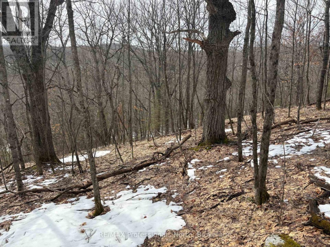 0 TRAPPER'S TRAIL ROAD, Dysart et al (Dudley)