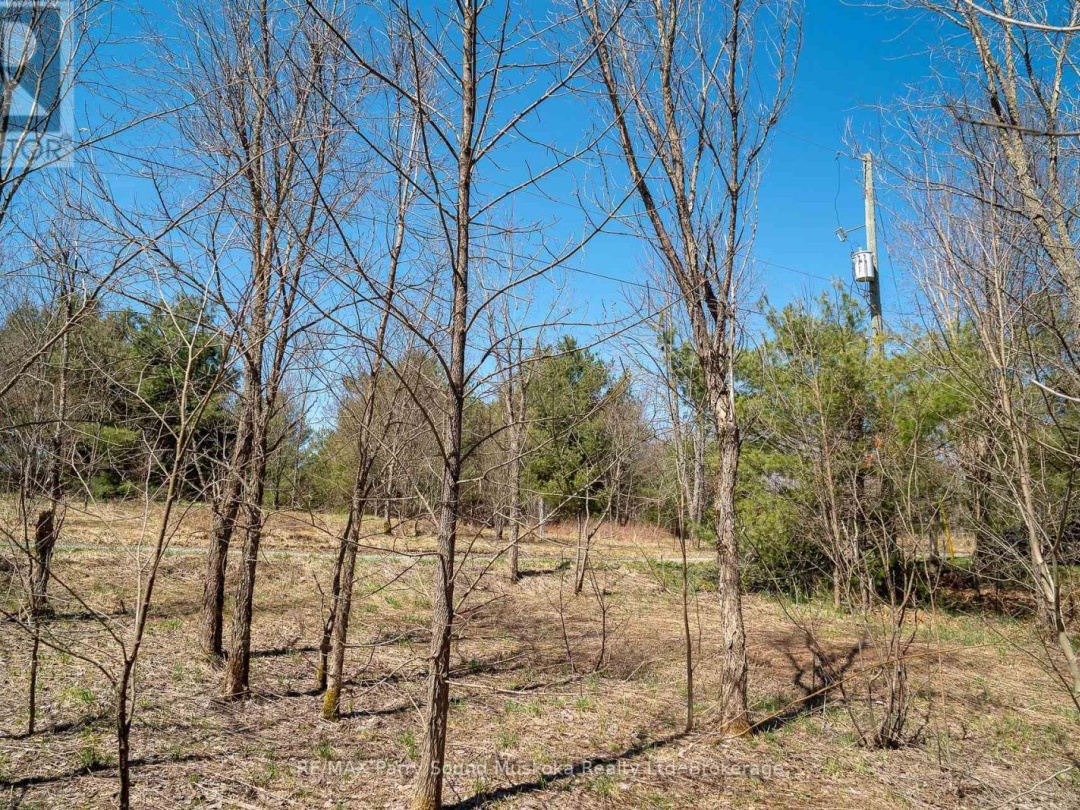 10 Alex Lane, Maple Lake