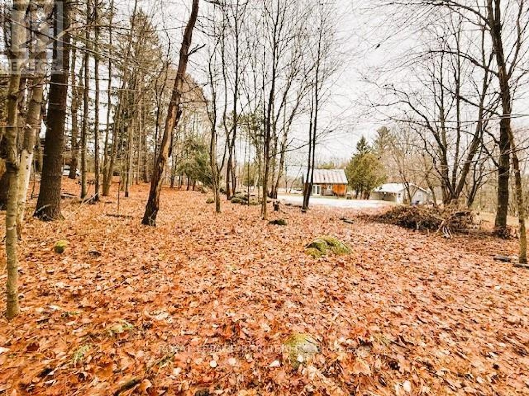 93 TOWN LINE ROAD W,