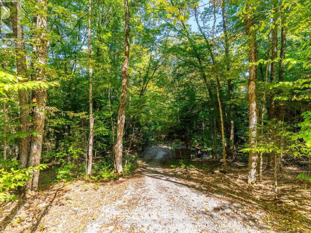LOT 40 BASSHAUNT LAKE ROAD, 