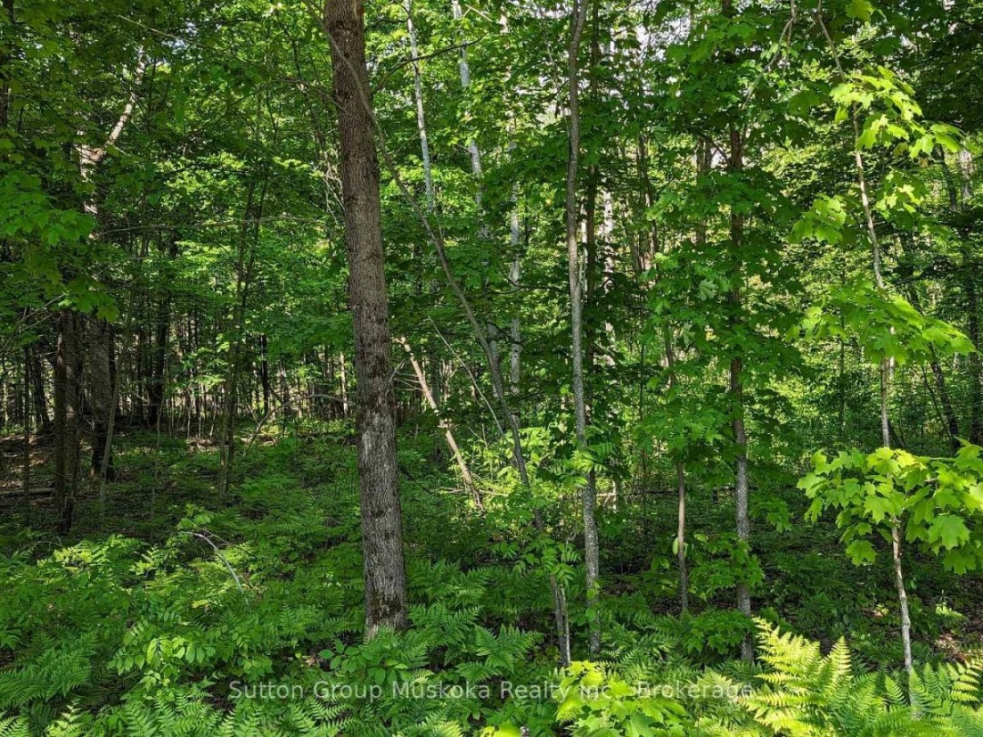 LOT 1 TALLY-HO WINTER PARK ROAD, 