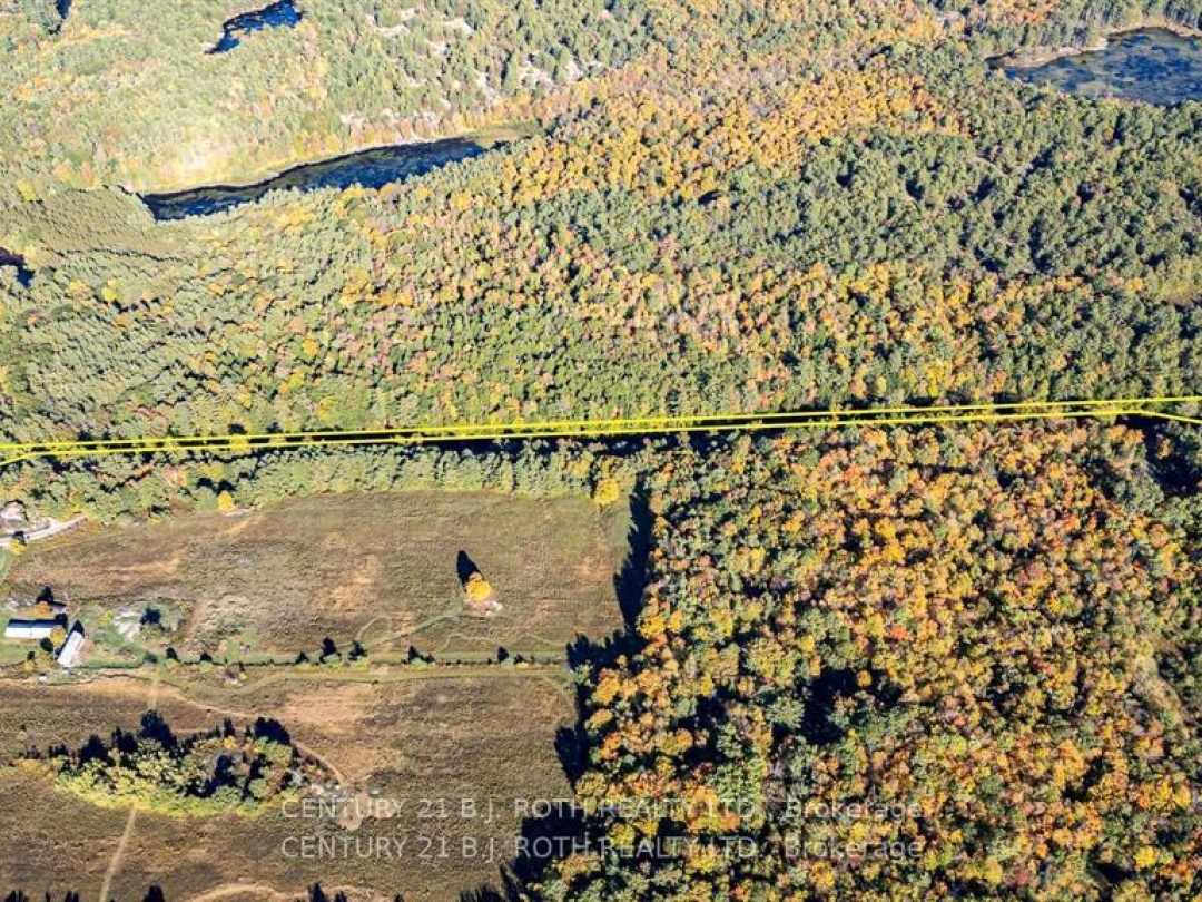 8101 KINGS RIVER ROAD, Black River