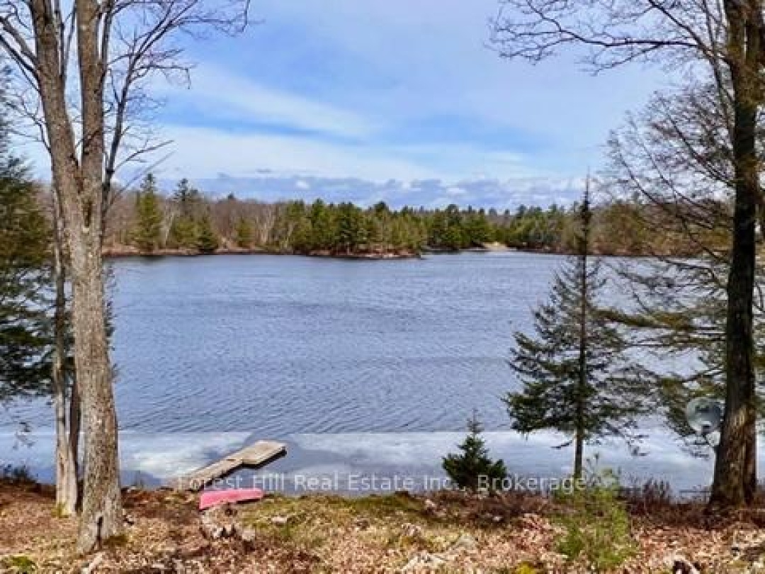 60 Hawksview Lane, Faris Lake