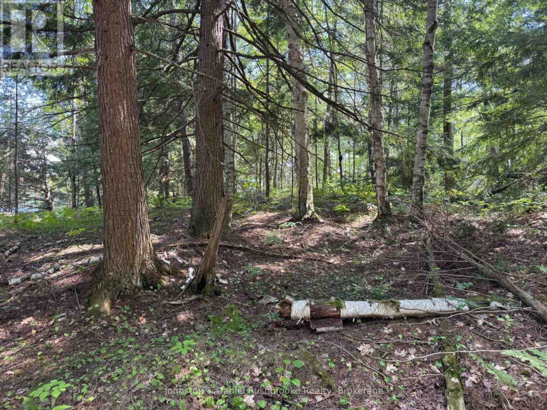 2 ISLAND 24LM (DENISON), 