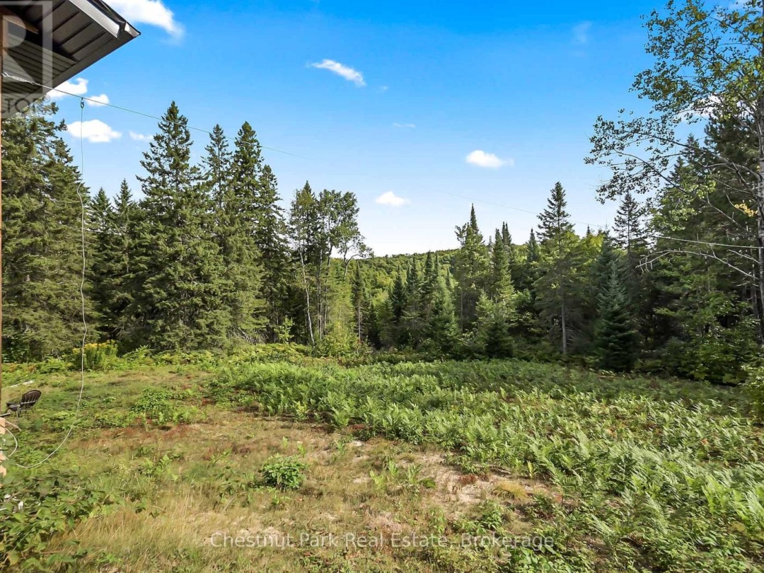 1363 WILLIAMSPORT ROAD, 