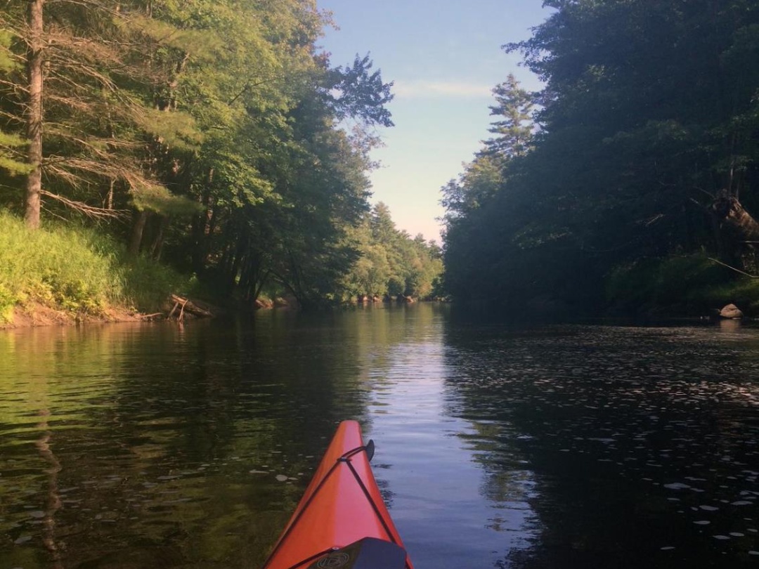8101 KINGS RIVER ROAD, Black River