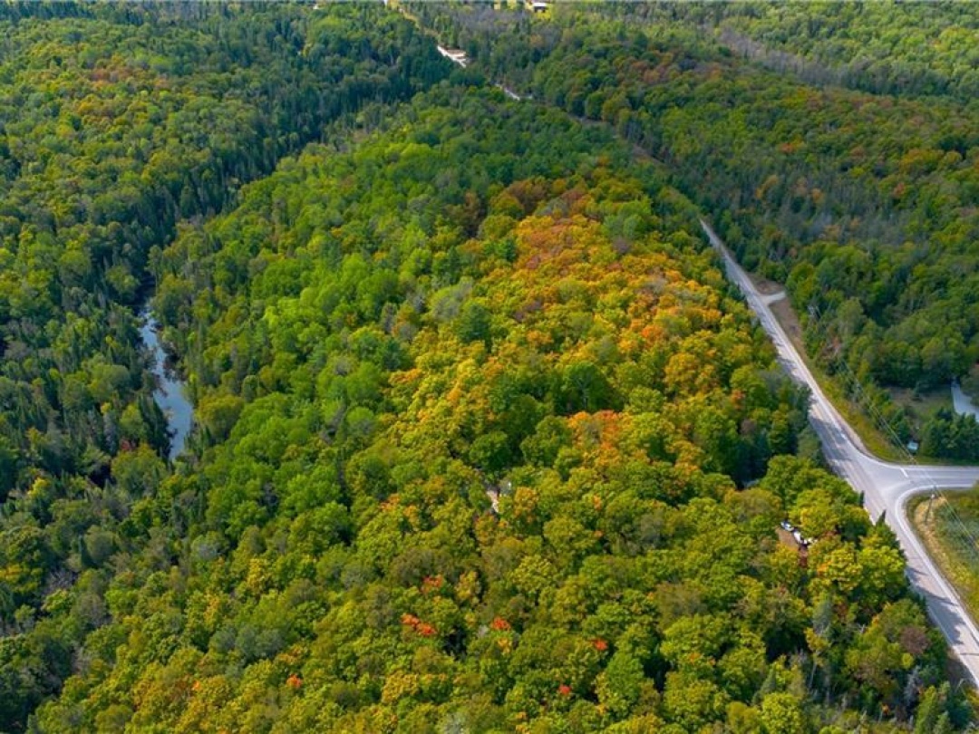 10282 COUNTY ROAD 503, 
