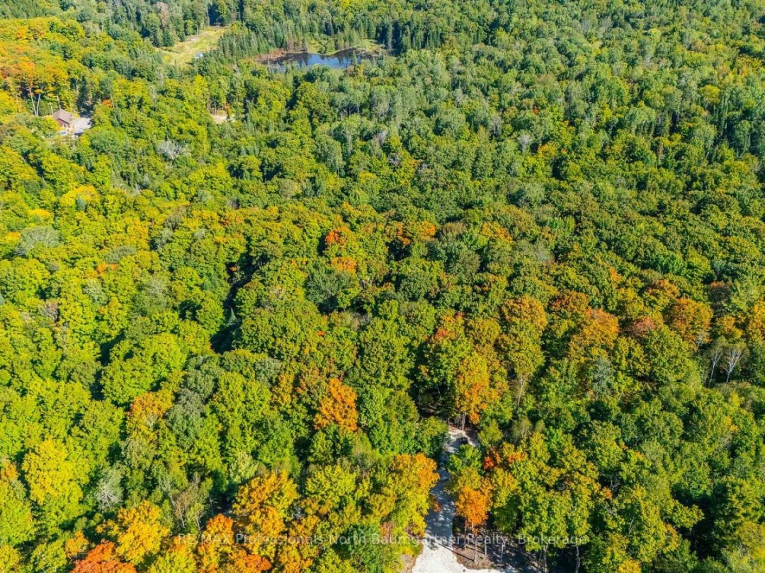 LOT 40 BASSHAUNT LAKE ROAD, 