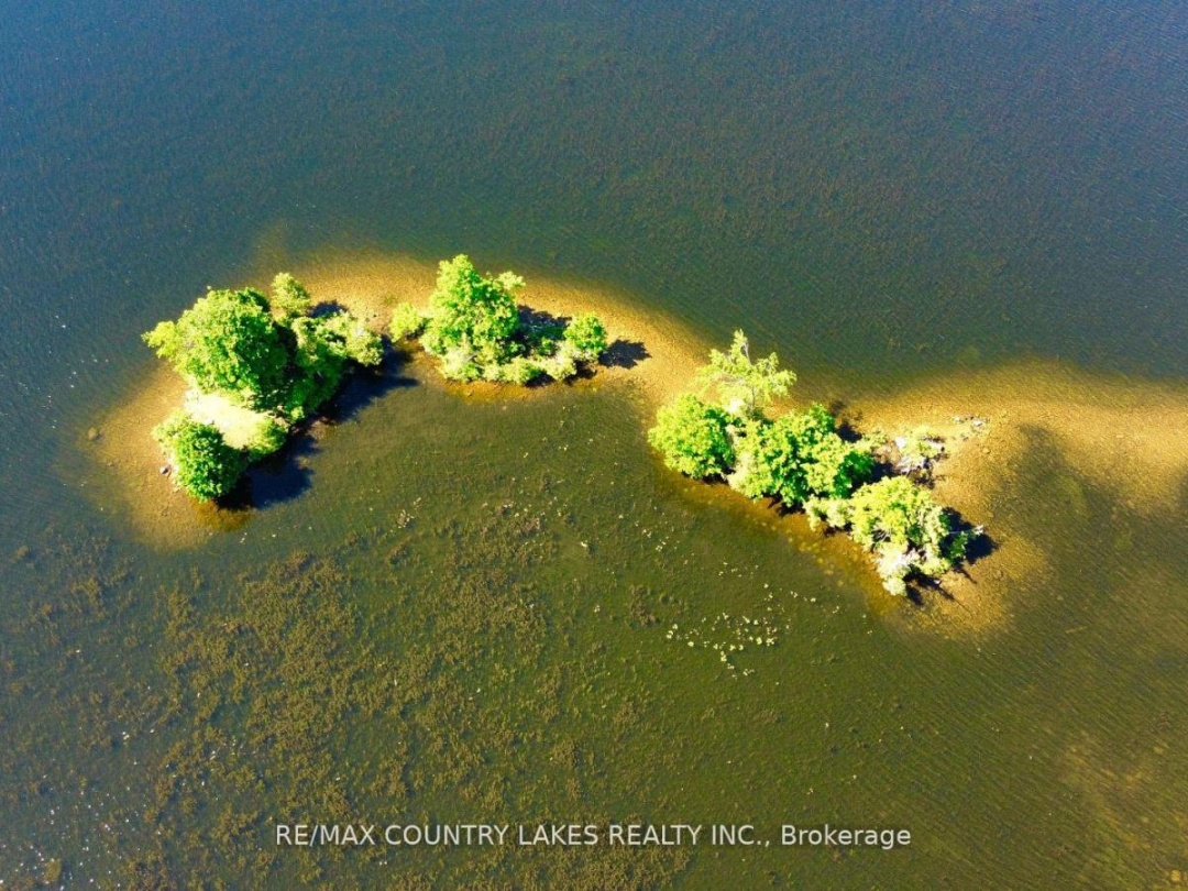 Lt 1 Island, Canal Lake