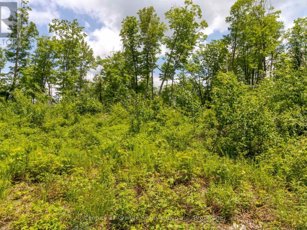 0 HALIBURTON LAKE ROAD, 