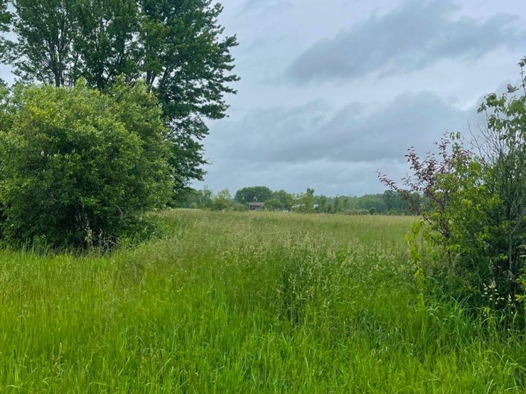 1744 Balkwill Line, Severn