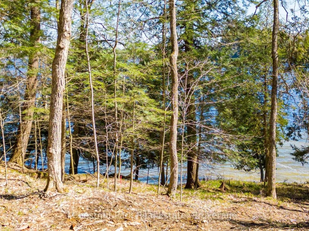 1091 OSBORNE POINT ROAD, 