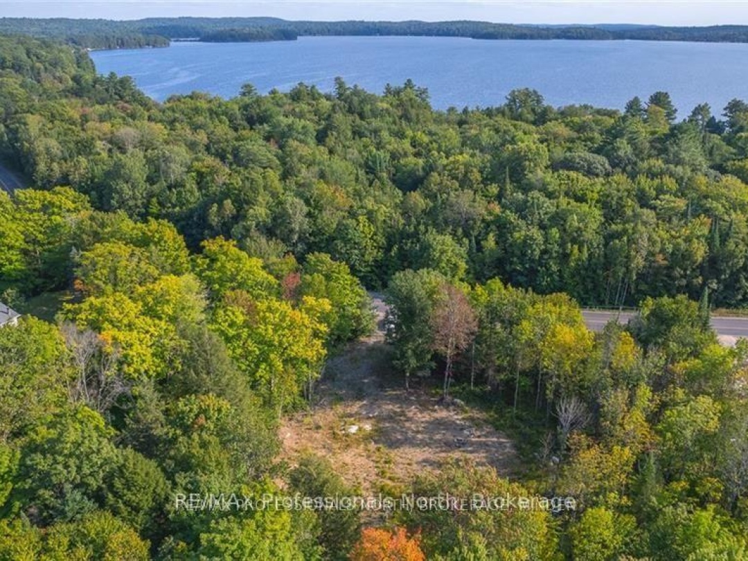 1205 Little Hawk Lake Road, Algonquin Highlands